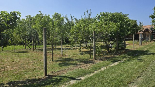 Eladó telek, Cserdiben 9.9 M Ft, 1+1 szobás / költözzbe.hu
