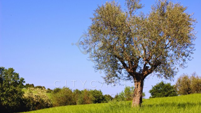 Eladó telek, Dunaföldváron 6.7 M Ft / költözzbe.hu