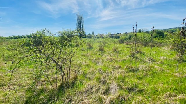 Eladó telek, Pomázon 22.5 M Ft / költözzbe.hu