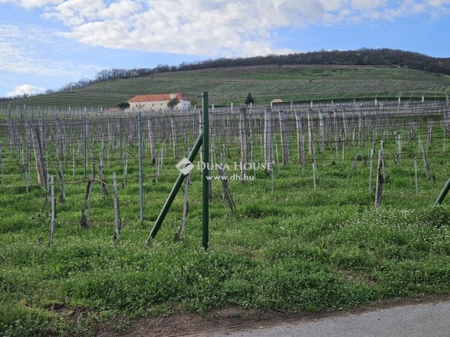 Eladó telek, Pécsett 29.5 M Ft / költözzbe.hu