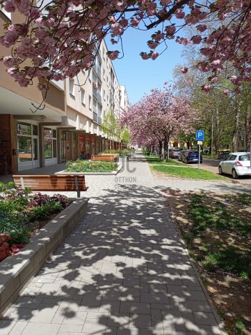Kiadó ipari ingatlan, Szekszárdon 250 E Ft / hó
