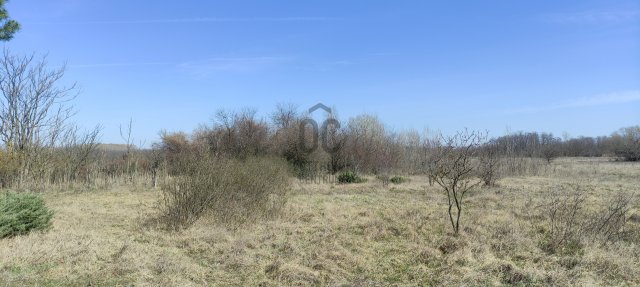 Eladó telek, Szentmártonkátán, Öregszőlő utcában 3 M Ft