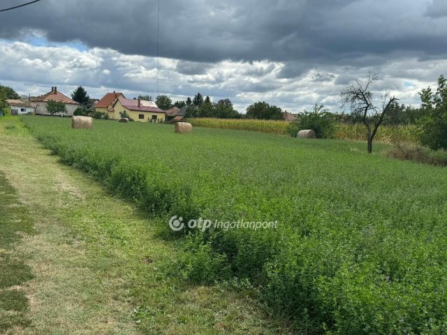 Eladó telek, Tiszafüreden 1.9 M Ft / költözzbe.hu