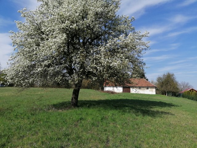 Eladó telek, Szentgotthárdon 129.9 M Ft / költözzbe.hu