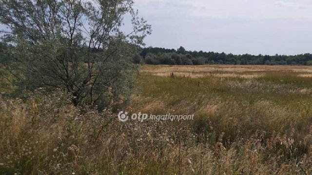 Eladó mezogazdasagi ingatlan, Újlőrincfalván 0.8 M Ft