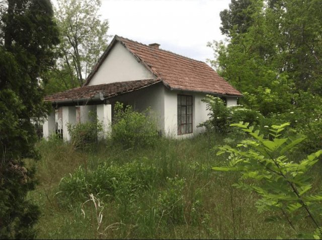Eladó mezogazdasagi ingatlan, Sükösdön 14.5 M Ft