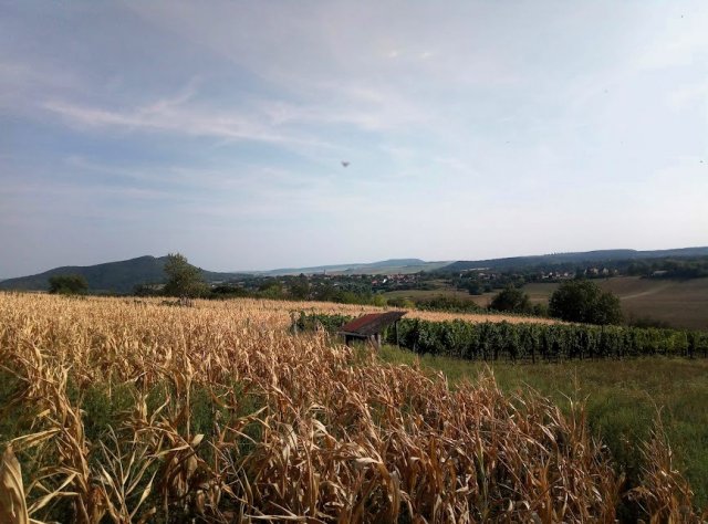 Eladó telek, Bajnán 3.9 M Ft / költözzbe.hu