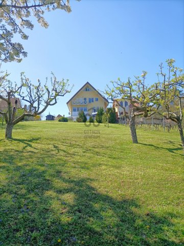 Eladó családi ház, Kőröshegyen 259.9 M Ft, 10 szobás