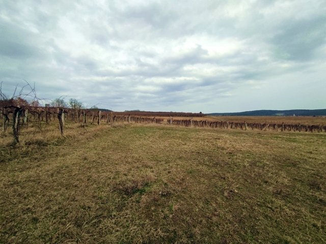 Eladó telek, Balatoncsicsón 199.99 M Ft / költözzbe.hu