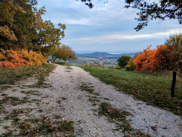 Eladó családi ház, Pécselyen 229 M Ft, 4 szobás