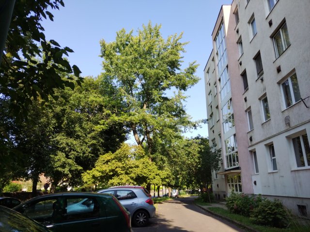 Eladó téglalakás, Miskolcon, Könyves Kálmán utcában 13.9 M Ft