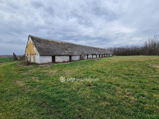 Eladó ipari ingatlan, Mezőfalván 130 M Ft / költözzbe.hu