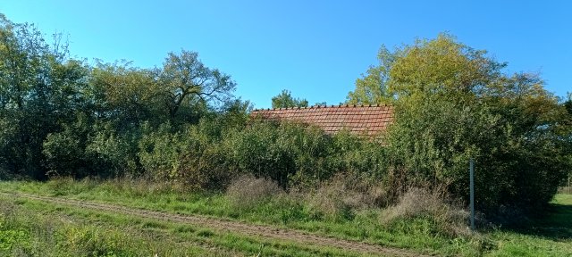 Eladó telek, Lepsényben 3.9 M Ft / költözzbe.hu