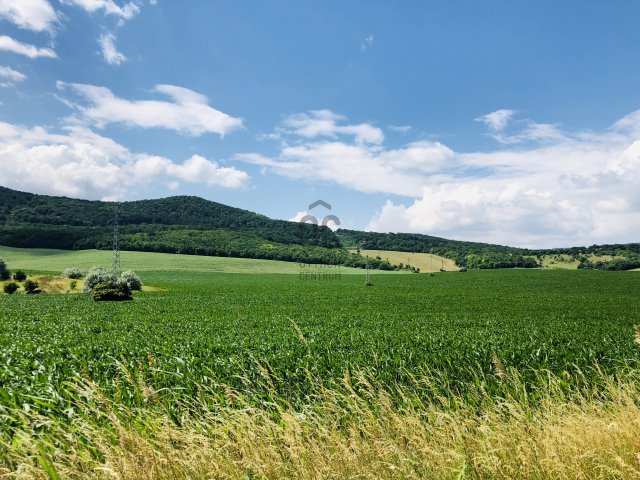 Eladó mezogazdasagi ingatlan, Solymáron 3.99 M Ft