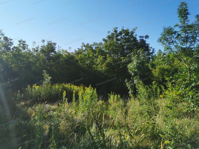 Eladó telek, Balatonberényben 26.9 M Ft / költözzbe.hu