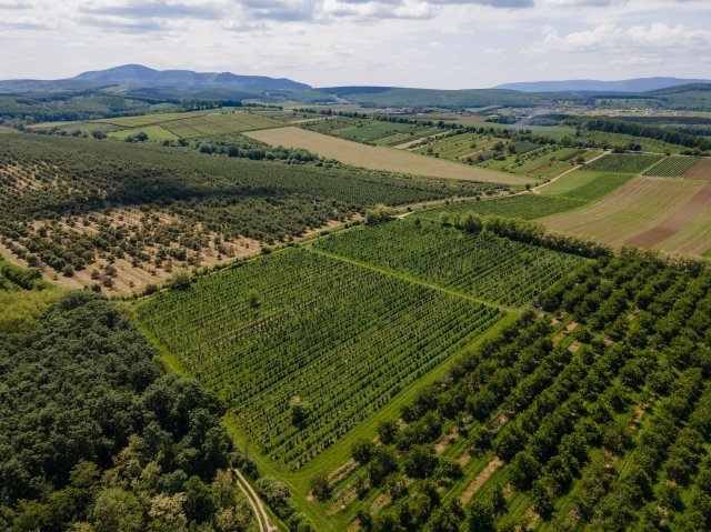 Eladó mezogazdasagi ingatlan, Nógrádon 19.9 M Ft