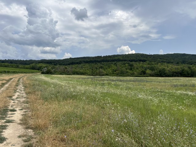 Eladó telek, Budajenőn 766.422 M Ft / költözzbe.hu
