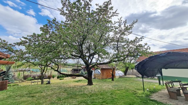 Eladó családi ház, Lakitelken 45.9 M Ft, 6 szobás