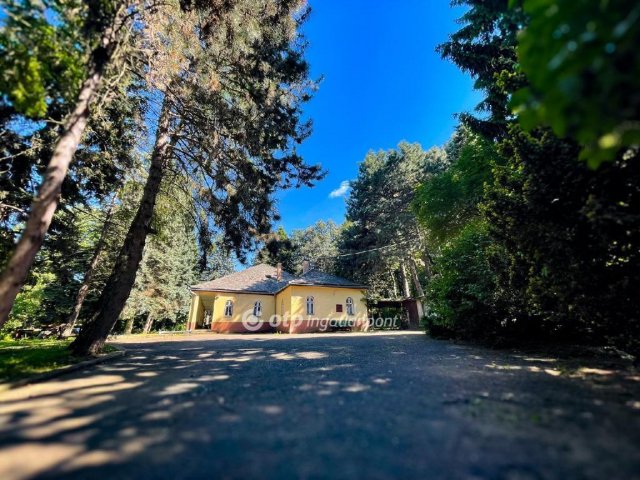 Eladó családi ház, Visontán 249 M Ft, 12+1 szobás