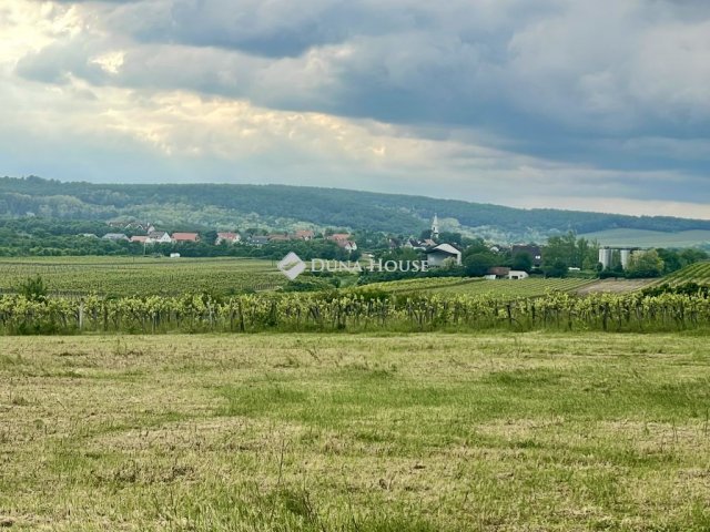 Eladó telek, Szentantalfán 16 M Ft / költözzbe.hu