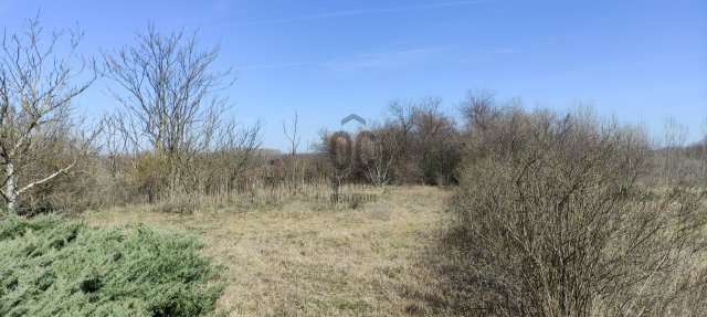 Eladó telek, Szentmártonkátán, Öregszőlő utcában 3 M Ft
