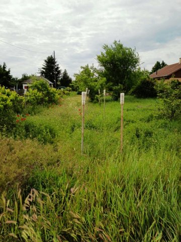 Eladó mezogazdasagi ingatlan, Hódmezővásárhelyen 4.9 M Ft