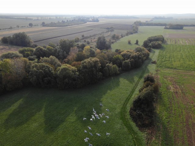 Eladó telek, Siófokon 99.8 M Ft / költözzbe.hu