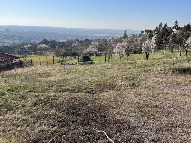 Eladó telek, Pécsett, Dongó dűlőn 9.9 M Ft