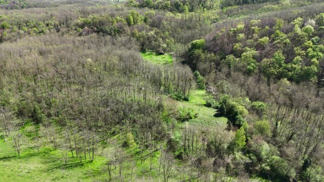 Eladó mezogazdasagi ingatlan, Kisbucsán 35 M Ft