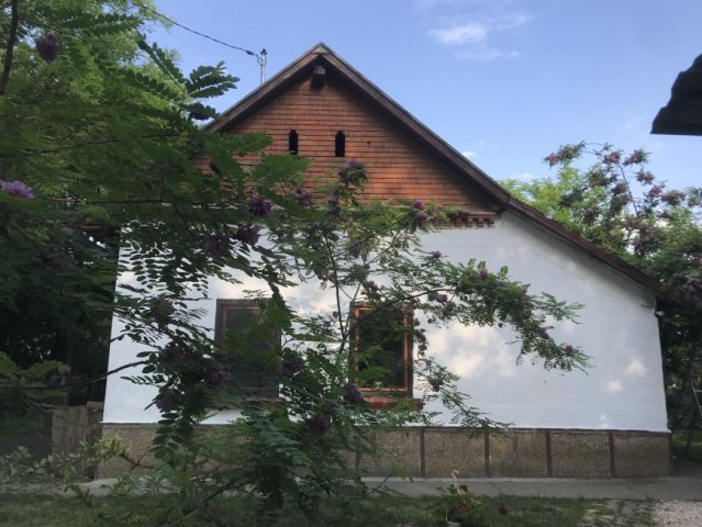 Eladó mezogazdasagi ingatlan, Szegváron 16.5 M Ft, 3 szobás