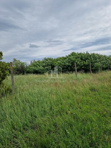 Eladó telek, Papkeszin 17.5 M Ft / költözzbe.hu