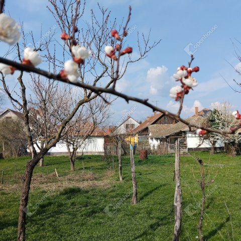 Eladó családi ház, Szentesen 25.5 M Ft, 3 szobás