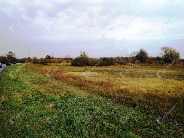 Eladó mezogazdasagi ingatlan, Berhidán 11.9 M Ft