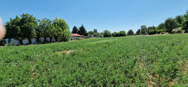 Eladó telek, Kőszárhegyen 12.9 M Ft / költözzbe.hu