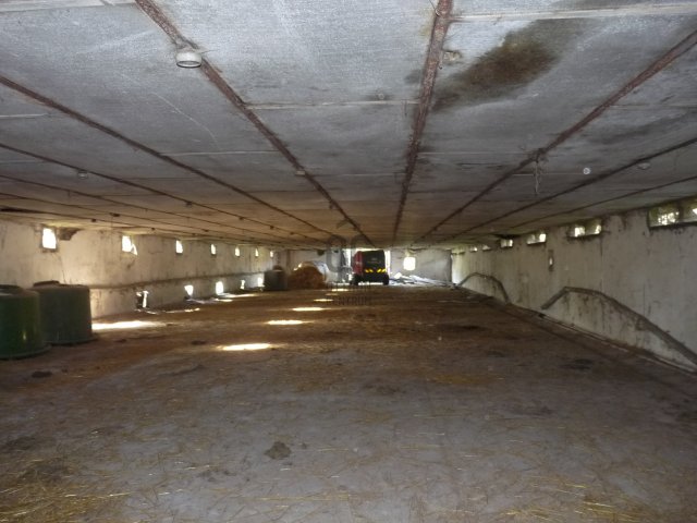Eladó mezogazdasagi ingatlan, Apajon 55 M Ft / költözzbe.hu