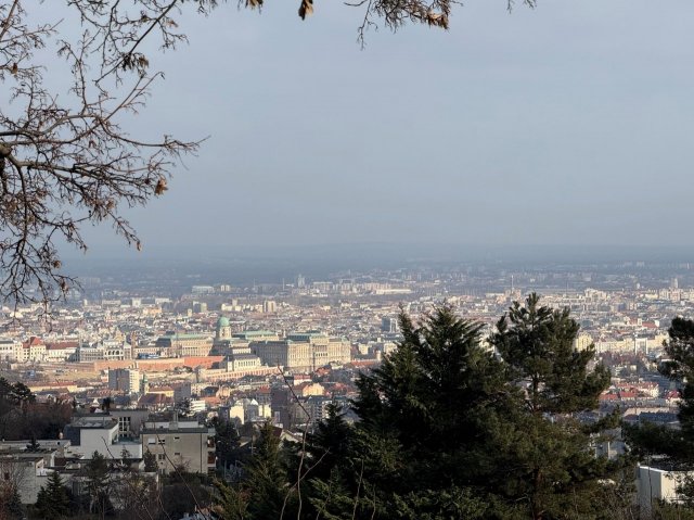 Kiadó ikerház, albérlet, Budapesten, XII. kerületben, 7 szobás