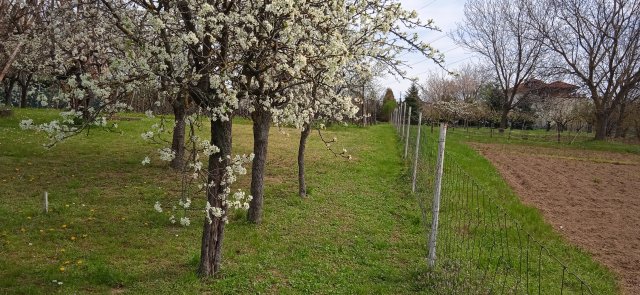 Eladó telek, Pécsett, Rezgő utcában 5.8 M Ft