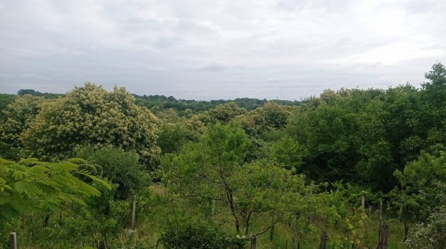Eladó nyaraló, Zalaújlakon 7.9 M Ft, 3 szobás