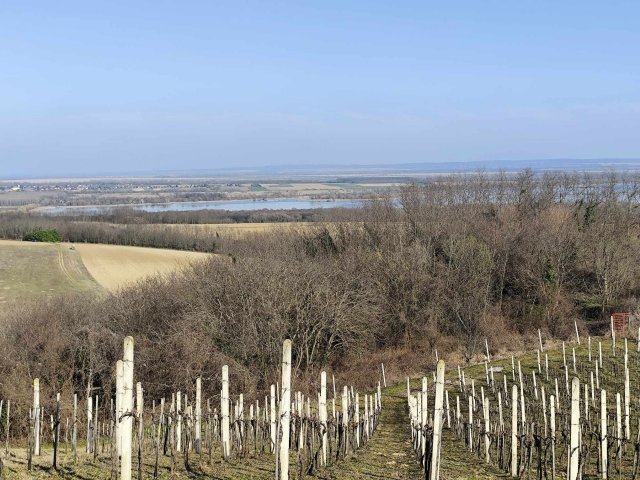 Eladó családi ház, Zalaszabaron 18 M Ft, 1 szobás