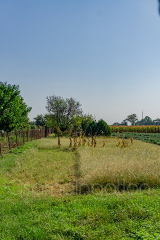 Eladó telek, Csornán 6.7 M Ft / költözzbe.hu