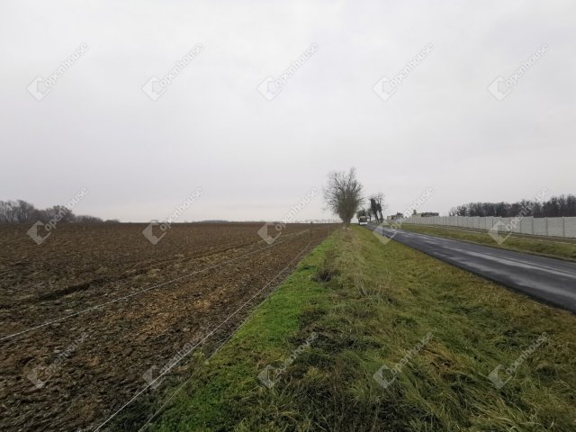 Eladó mezogazdasagi ingatlan, Sármelléken 10.5 M Ft