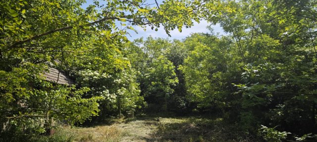 Eladó családi ház, Zalaszentgróton 2.6 M Ft, 1 szobás