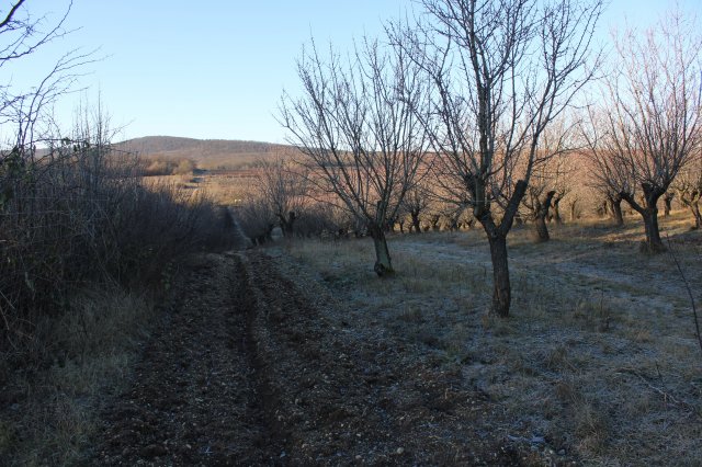 Eladó mezogazdasagi ingatlan, Zánkán 129 M Ft