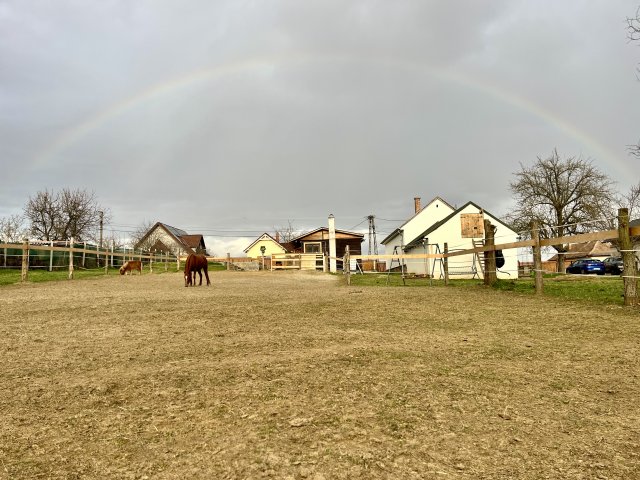 Eladó családi ház, Pusztaszemesen 74.9 M Ft, 3 szobás