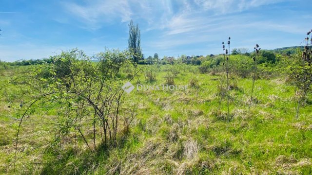 Eladó telek, Pomázon 22.5 M Ft / költözzbe.hu