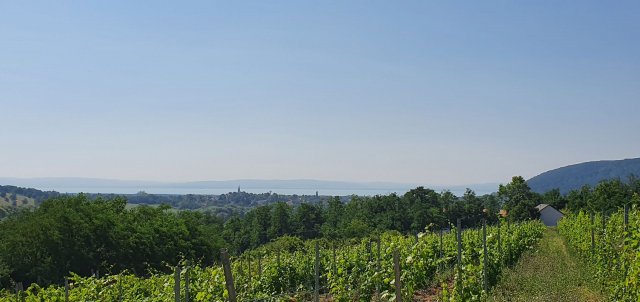 Eladó telek, Balatoncsicsón 39 M Ft / költözzbe.hu