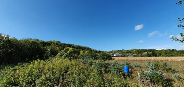 Eladó telek, Győrújbaráton 32.15 M Ft / költözzbe.hu