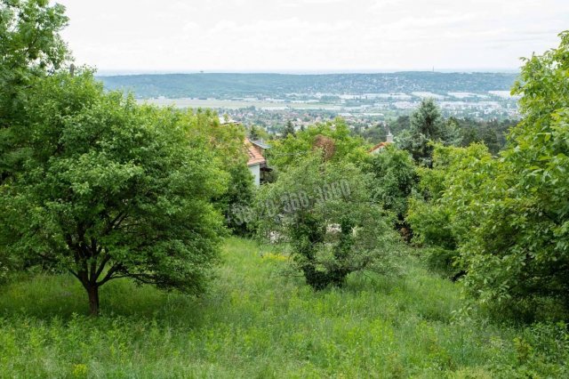 Eladó telek, Budaörsön 39 M Ft / költözzbe.hu