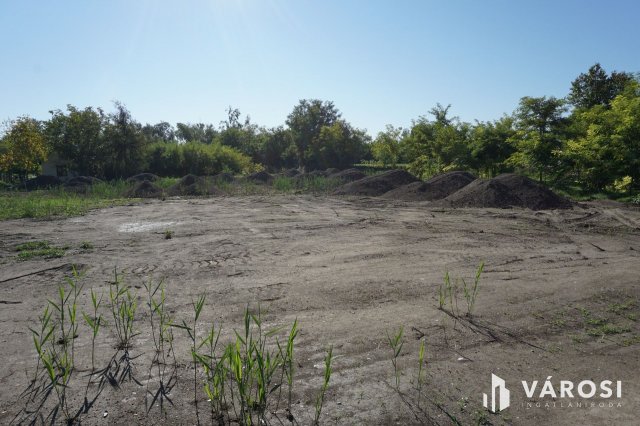 Eladó mezogazdasagi ingatlan, Gyulán 2.5 M Ft