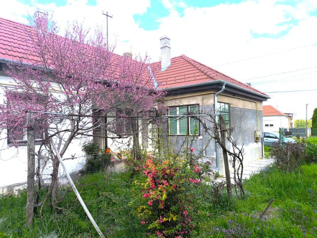 Eladó családi ház, Dunaszekcsőn 17.5 M Ft, 3 szobás